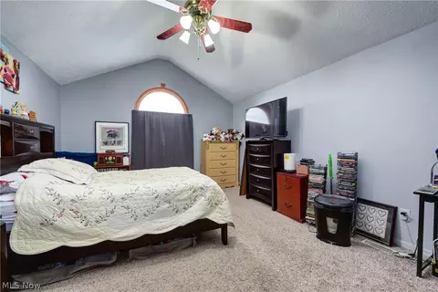 233 Forest Park Dr, Lagrange, OH 44050 photo 17