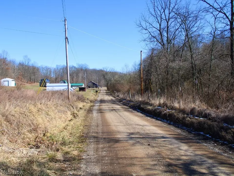 9045 Wilsonwood Rd, Blue Rock, OH 43720 photo 1