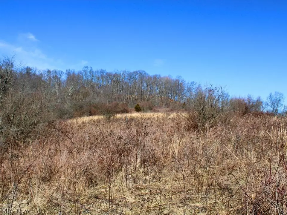  9045 Wilsonwood Rd, Blue Rock, OH 43720 photo 9