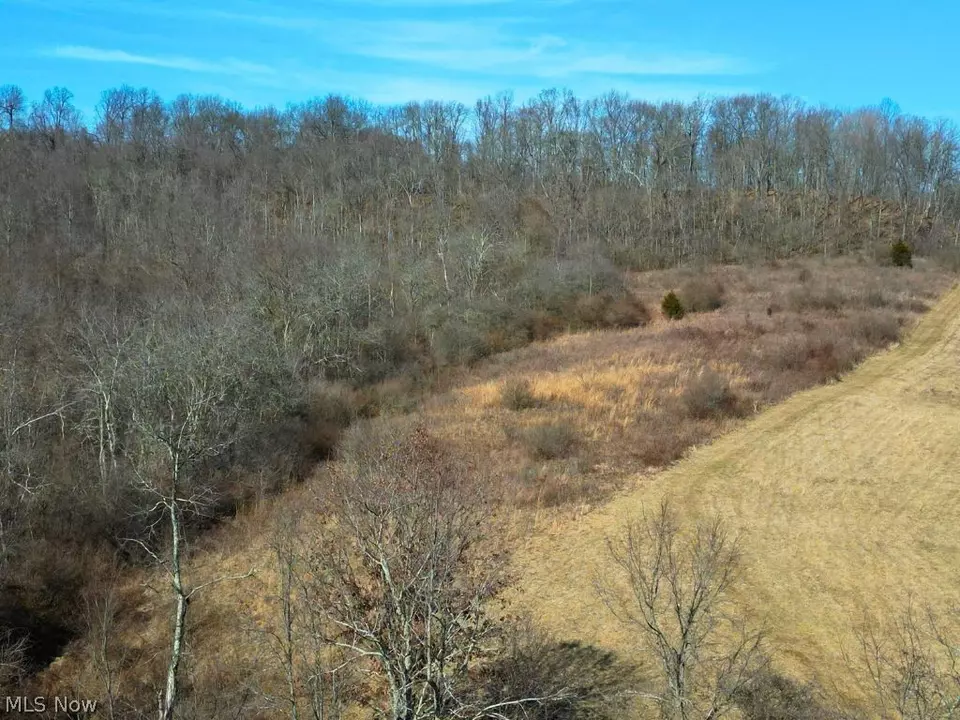  9045 Wilsonwood Rd, Blue Rock, OH 43720 photo 7