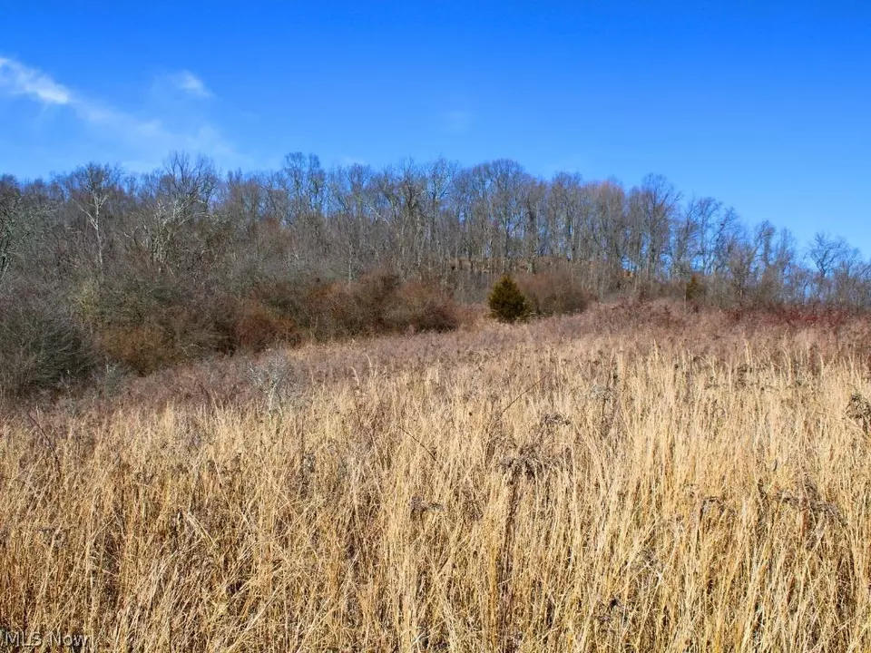  9045 Wilsonwood Rd, Blue Rock, OH 43720 photo 10