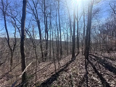 union hill road, Blue Rock, OH 43720