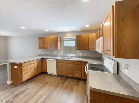231 Rauscher Ct, Elyria, OH 44035 photo 5