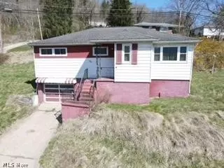 1010 Birch Ave, Bellaire, OH 43906