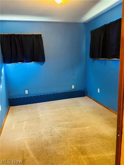 1325 Union Ave, Ashtabula, OH 44004 photo 19