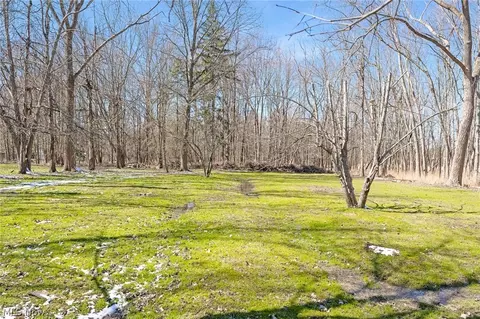 View/Area - 2984 Rockefeller Rd, Willoughby Hills, OH 44092 photo 1 of 1