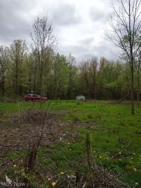 V/l Bronson Road, Olmsted Twp, OH 44138