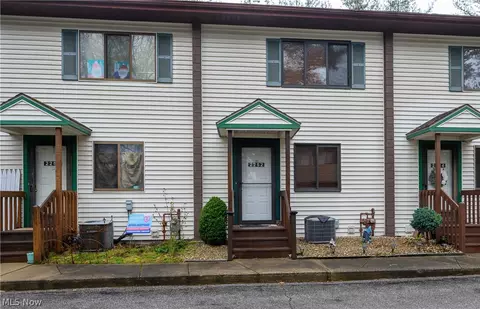 2252 Pine Top Ct, Akron, OH 44319