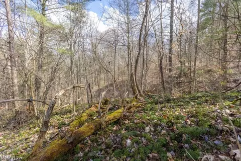 Co, Macfarlan, WV 26148 photo 9