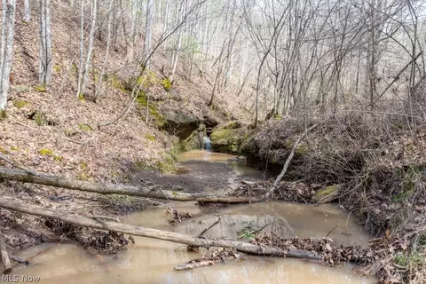 Co, Macfarlan, WV 26148 photo 5