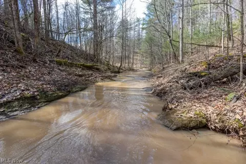 Co, Macfarlan, WV 26148 photo 6