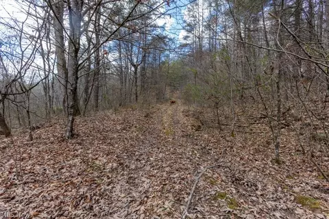Co, Macfarlan, WV 26148 photo 10