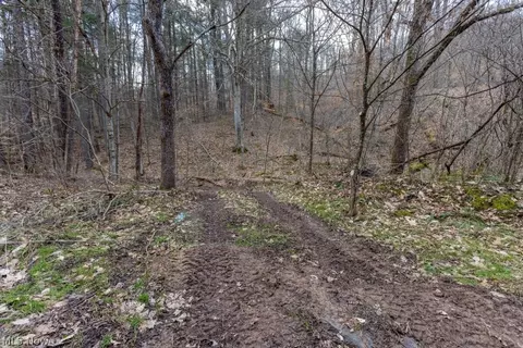 Co, Macfarlan, WV 26148 photo 3