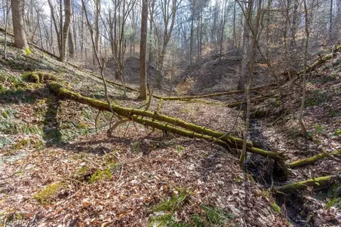 Co, Macfarlan, WV 26148 photo 8