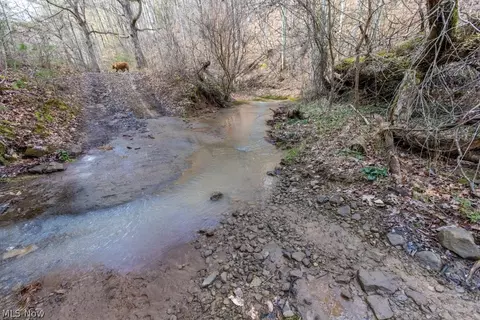 Co, Macfarlan, WV 26148 photo 4