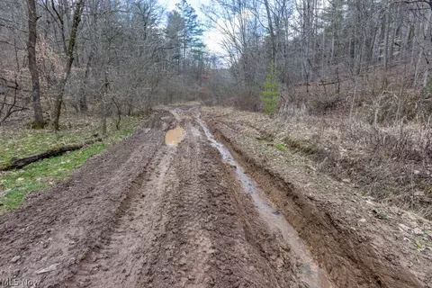 Co, Macfarlan, WV 26148 photo 2