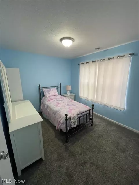 121 Euclid St, Elyria, OH 44035 photo 12