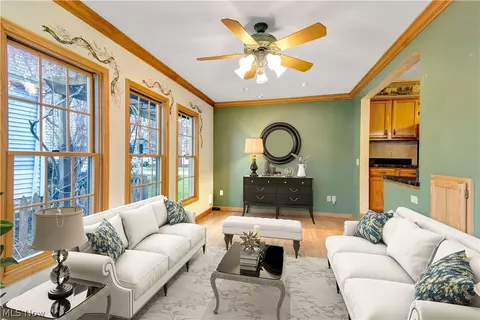 Living - 1009 E River St, Elyria, OH 44035 photo 4 of 4