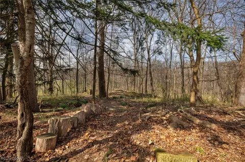 View/Area - 396 Overbrook Rd, Elyria, OH 44035 photo 2 of 2