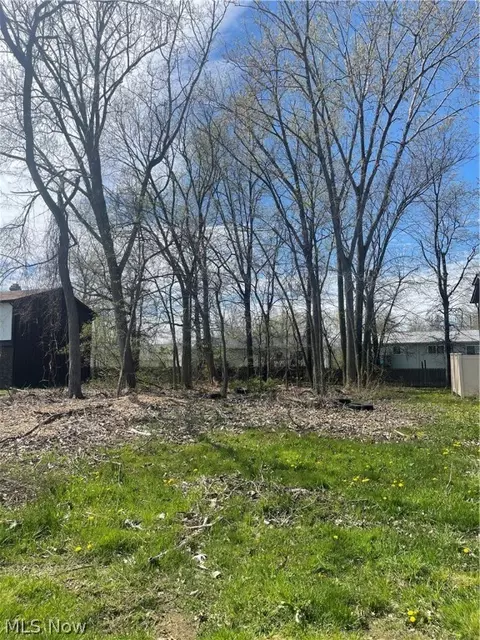 Forest Lane, Lorain, OH 44053