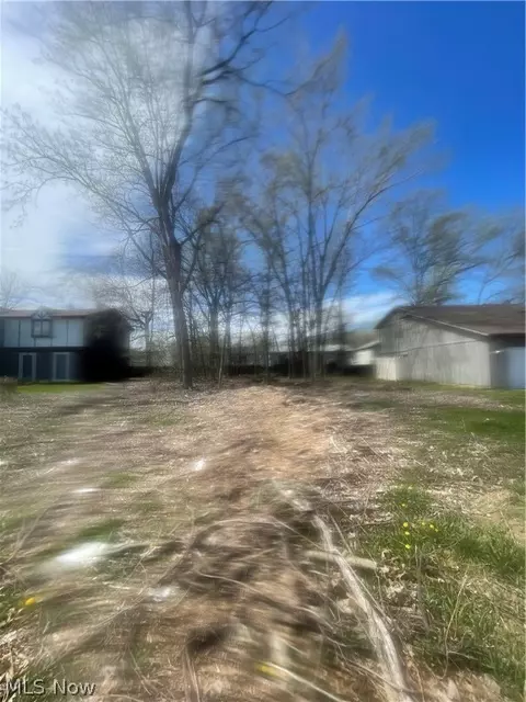 Forest Lane, Lorain, OH 44053 photo 4