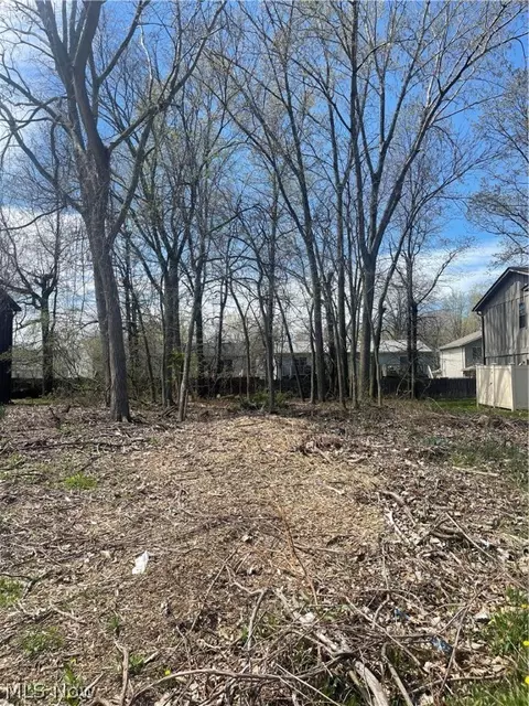 Forest Lane, Lorain, OH 44053 photo 5