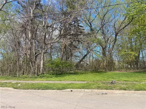 Pearl Avenue, Lorain, OH 44055