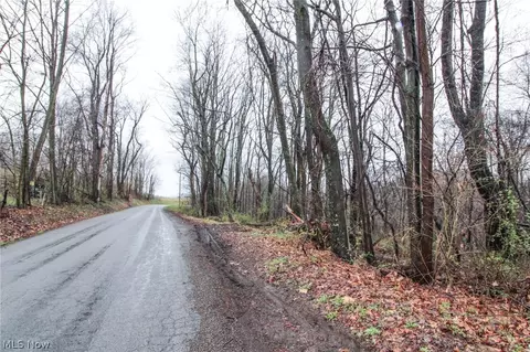 0 Township Road 289, Hammondsville, OH 43930