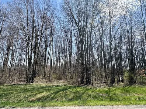 Durst Clagg Road, Cortland, OH 44410