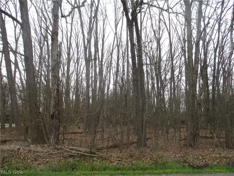 Mcclintocksburg Road, Diamond, OH 44412