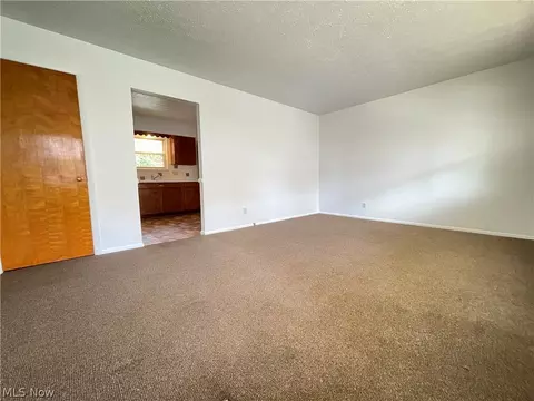 939 Nevin St, Akron, OH 44310 photo 18