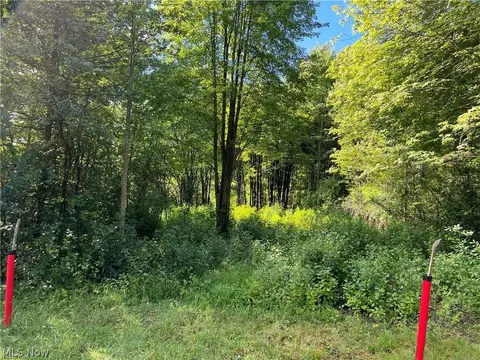 41 Roaming Rock Blvd, Roaming Shores, OH 44084