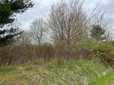 V/l Middle Road, Conneaut, OH 44030