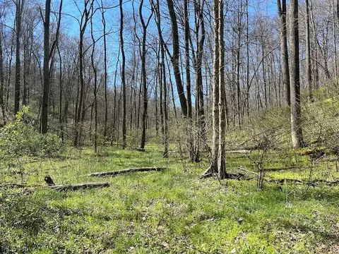 437 Hill Road, Dresden, OH 43821