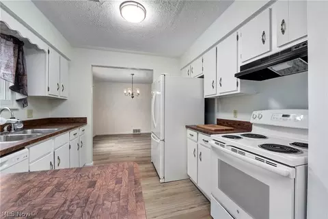 Kitchen - 6120 Brambleside Ln, Mentor, OH 44060 photo 3 of 5