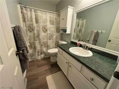 Bath - 3959 Red Mill Cv, Perry, OH 44081 photo 6 of 6