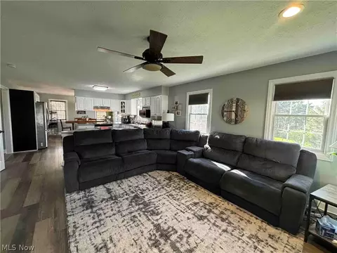 Living - 3959 Red Mill Cv, Perry, OH 44081 photo 4 of 6