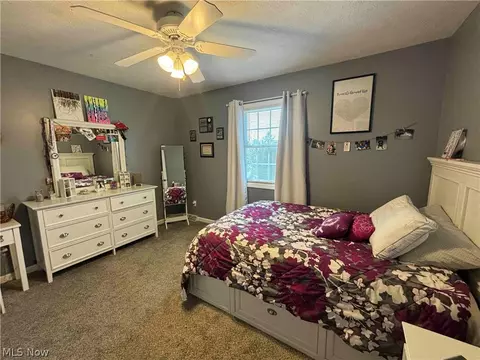 Bedroom - 3959 Red Mill Cv, Perry, OH 44081 photo 8 of 12