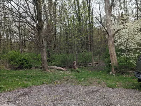 10341 Thwing Rd, Chardon, OH 44024 photo 3