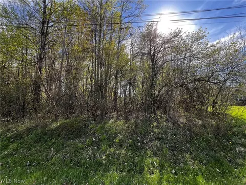 255 Morgan Ter, Roaming Shores, OH 44084