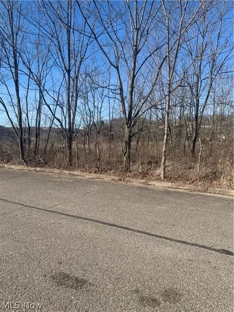 Tbd Dipino Drive, Colliers, WV 26035