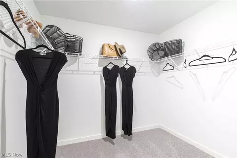 4382 Beech Ave, Perry, OH 44081 photo 34