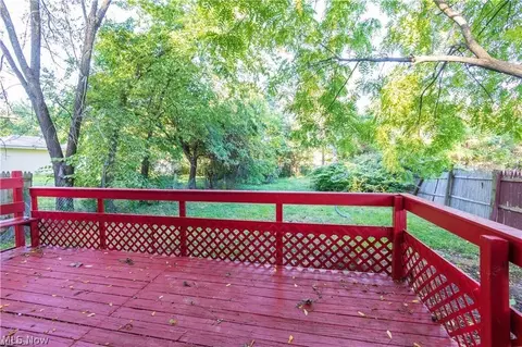 1298 Gorge Blvd, Akron, OH 44310 photo 26
