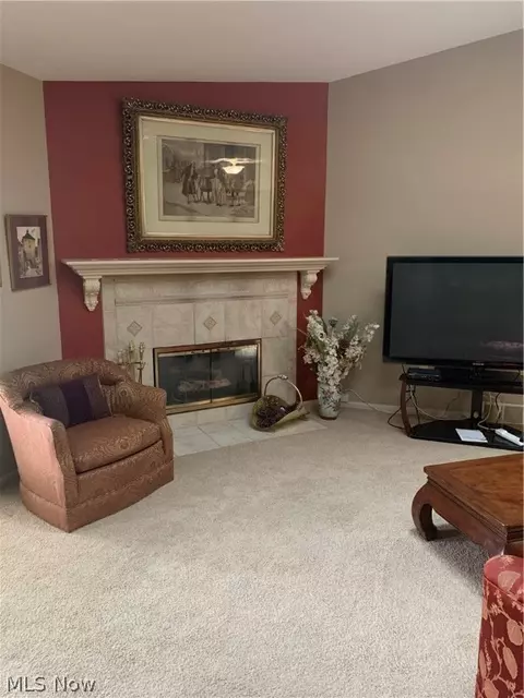 103 Olson Spur, Munroe Falls, OH 44262 photo 8