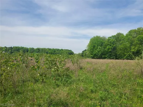 S/l 3c Beach Road, Wadsworth, OH 44281
