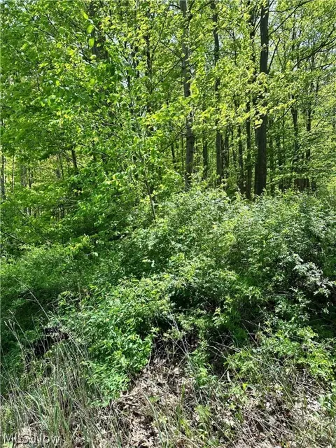Main Market Road, Garrettsville, OH 44231