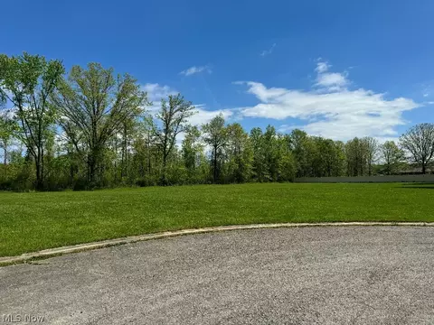 Black Duck Court, Cortland, OH 44410