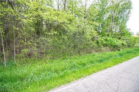 0 Mcguffey Rd, Lowellville, OH 44436