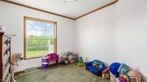 9180 N River Rd, Dresden, OH 43821 photo 22