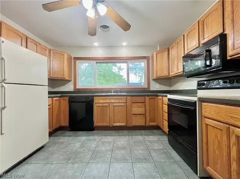 8585 Buffham Rd, Lodi, OH 44254 photo 9